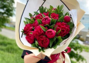 купить пионы в севастополе